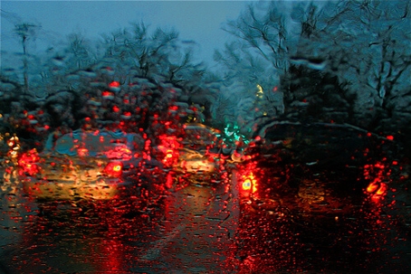 Rainy Windshield